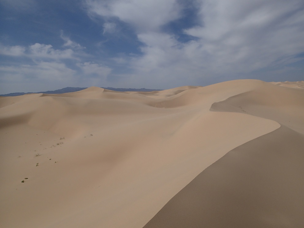 15 - Les dunes de Khongoryn Els