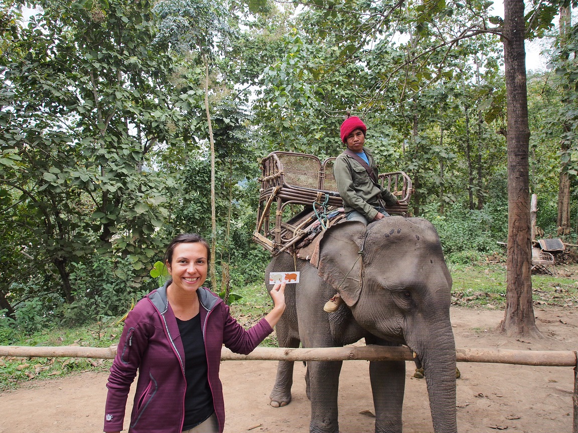 Camp d'éléphants - Pak Beng - Laos