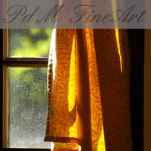 Nos partenaires Nos partenaires