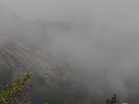 On ne voit plus rien ! On ne voit plus rien !