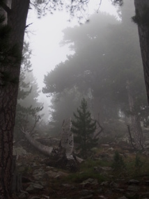 Des images de film d'horreur Des images de film d'horreur