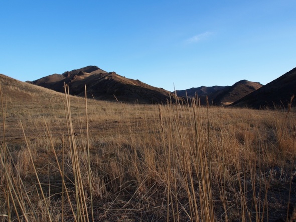 Steppe mongole Steppe mongole