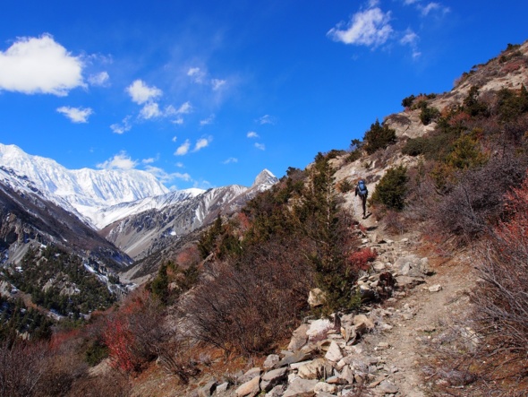 Le Népal, c’est de la balle ! Le Népal, c’est de la balle !