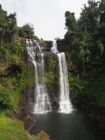 Laos : des cascades, un fleuve et des éléphants Laos : des cascades, un fleuve et des éléphants