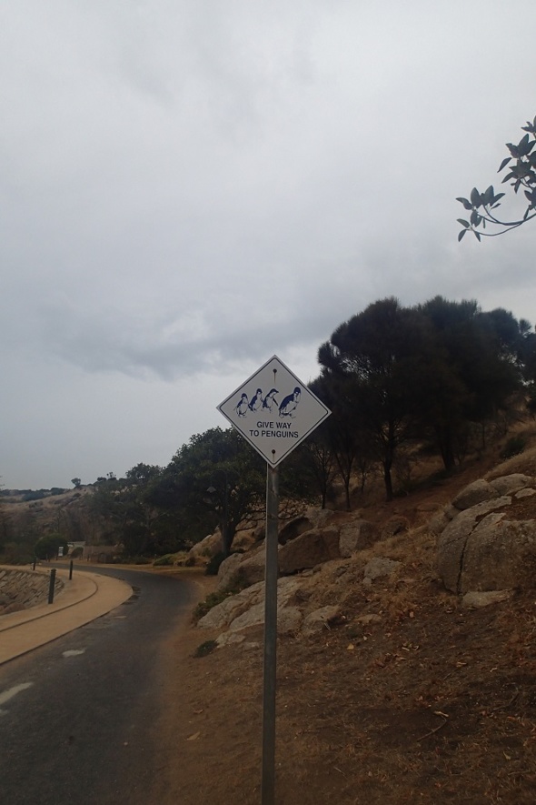 Australie : des animaux sur des panneaux Australie : des animaux sur des panneaux