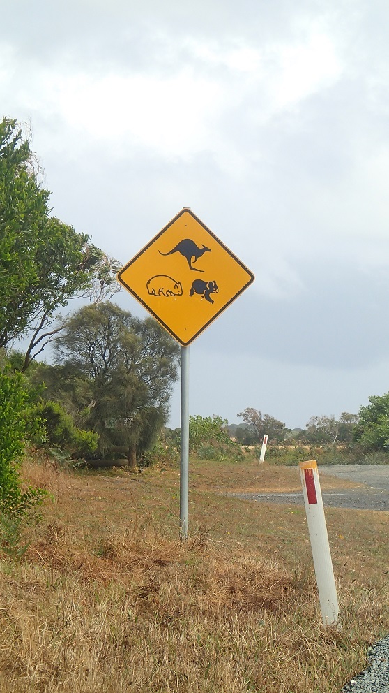 Australie : des animaux sur des panneaux