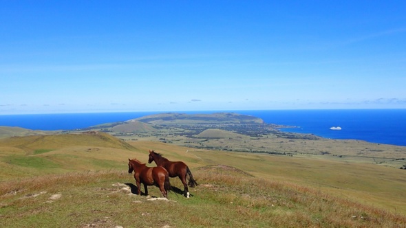 L’île de Pâques, un rêve devenu réalité L’île de Pâques, un rêve devenu réalité