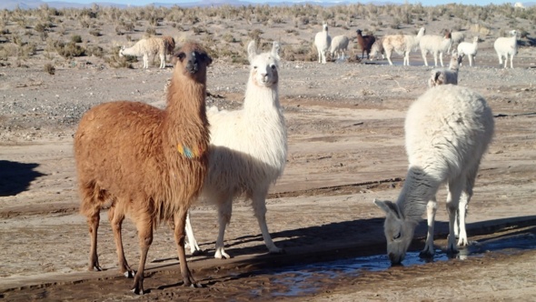 Les montagnes colorées de Quebrada Humahuaca Les montagnes colorées de Quebrada Humahuaca