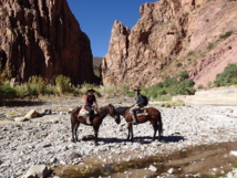 Les paysages enchanteurs du Sud de la Bolivie Les paysages enchanteurs du Sud de la Bolivie
