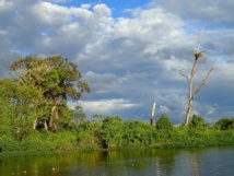 Rurrenabaque : entre jungle et pampa Rurrenabaque : entre jungle et pampa