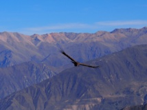 Arequipa, l’autre ville blanche Arequipa, l’autre ville blanche
