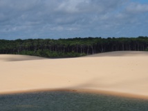 Nordeste : entre dunes et plages paradisiaques Nordeste : entre dunes et plages paradisiaques