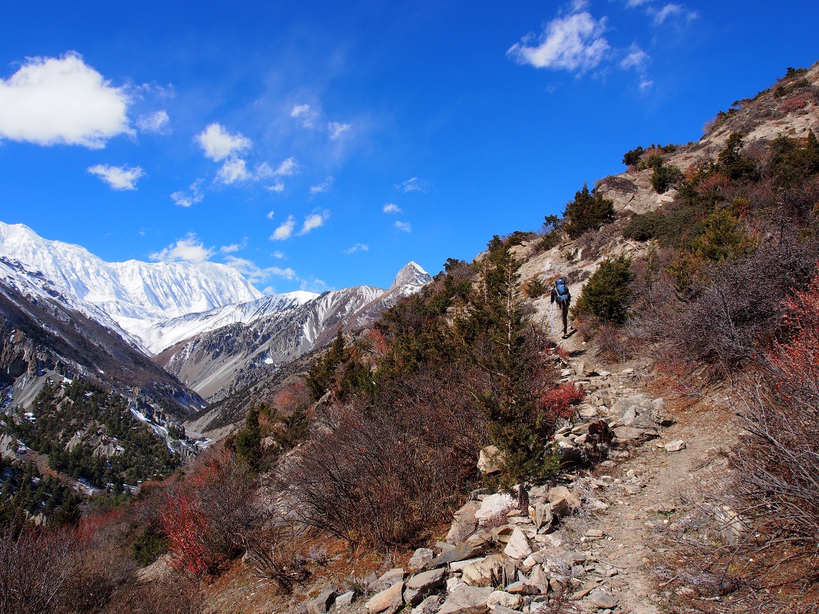 Le Népal, c’est de la balle ! Le Népal, c’est de la balle !