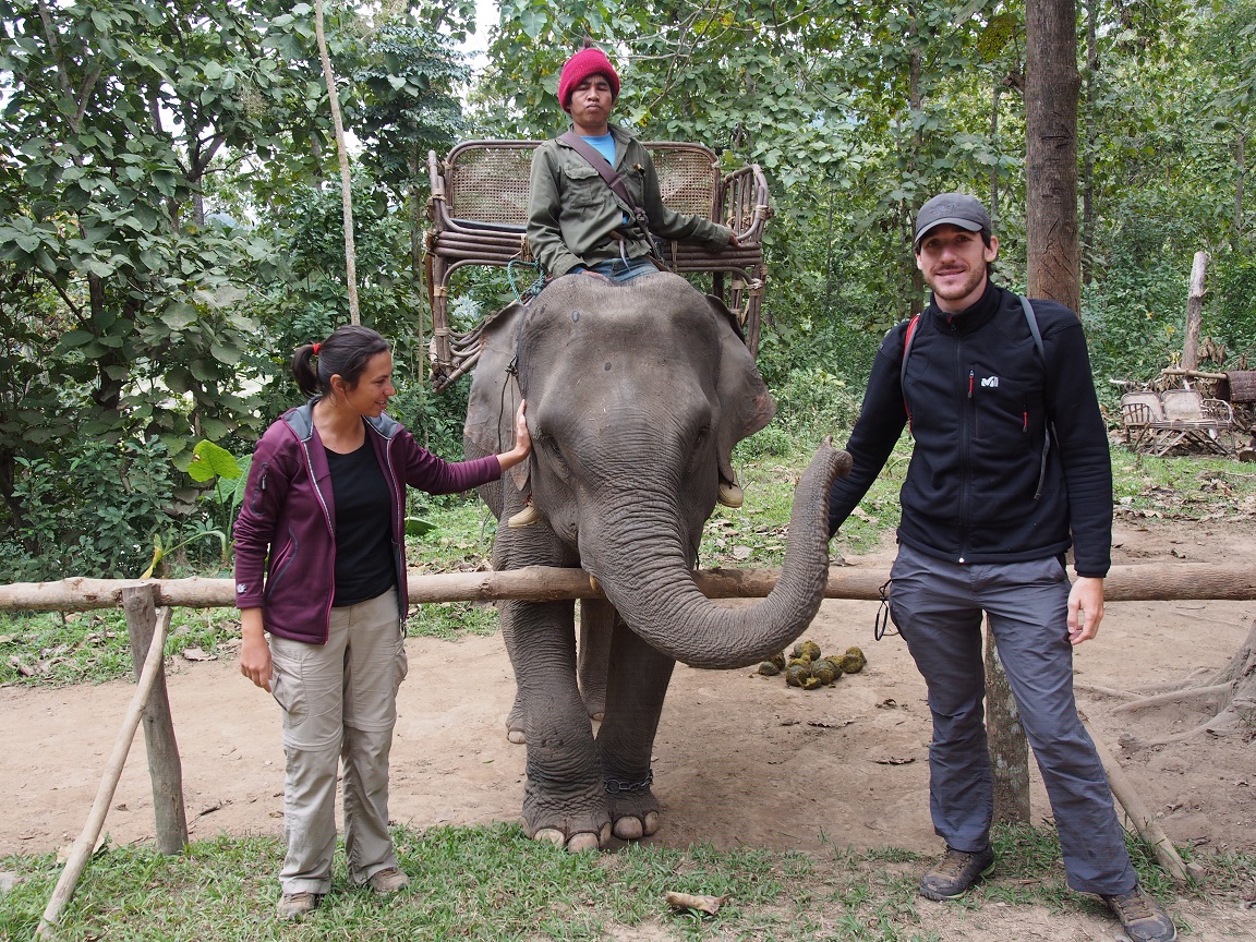 Laos : des cascades, un fleuve et des éléphants Laos : des cascades, un fleuve et des éléphants