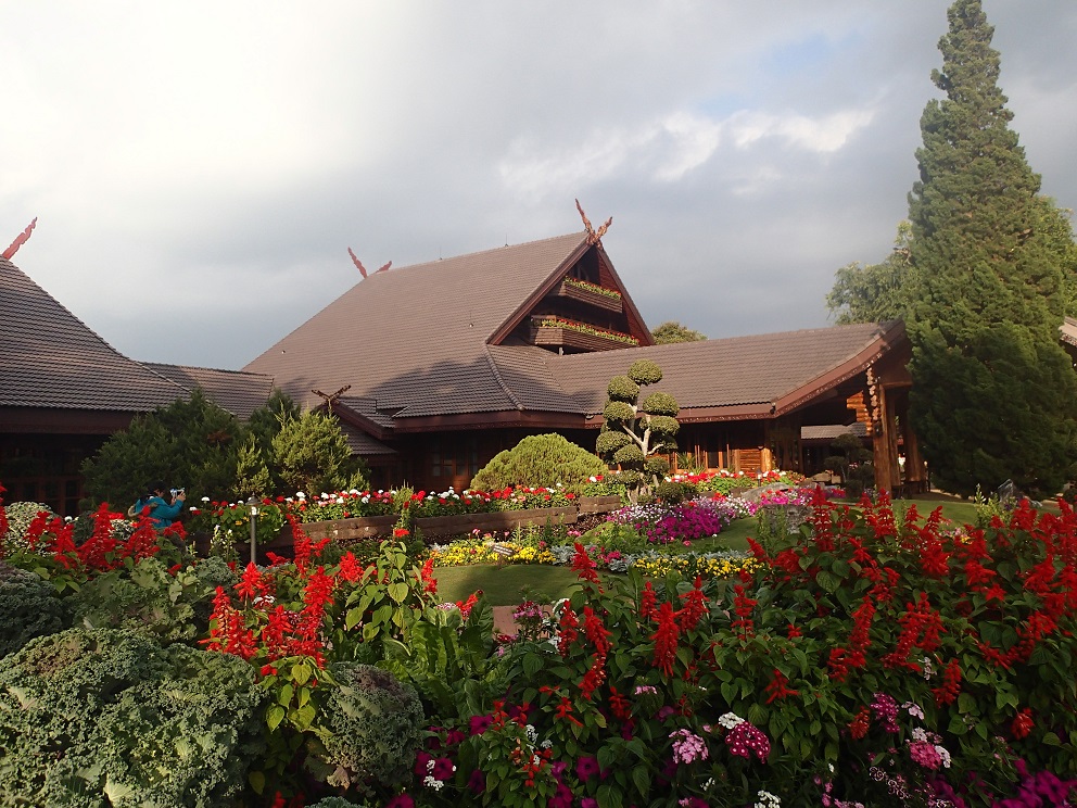 Chiang Rai : des paysages et une chute