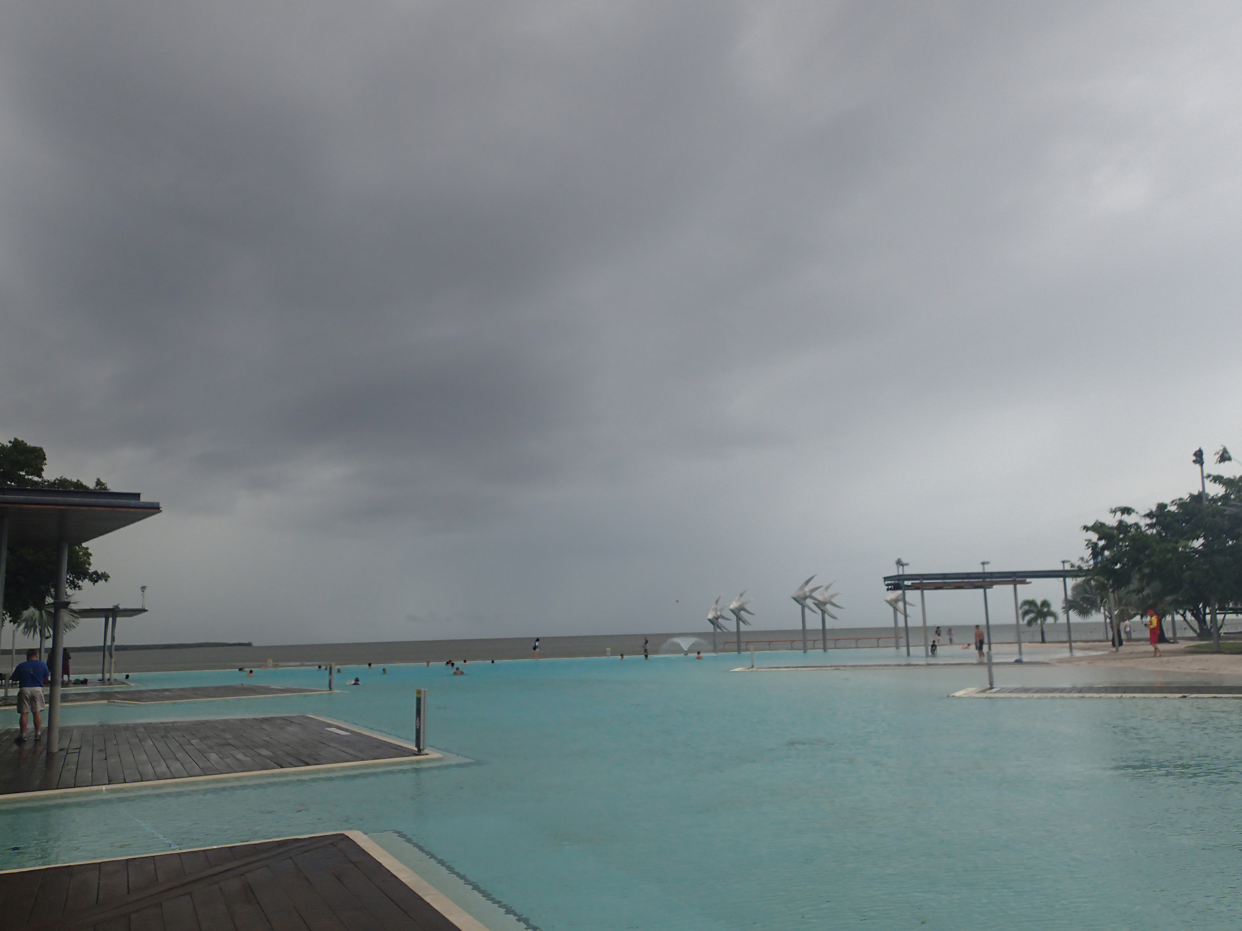 Cairns : un cyclone, une forêt et des poissons Cairns : un cyclone, une forêt et des poissons