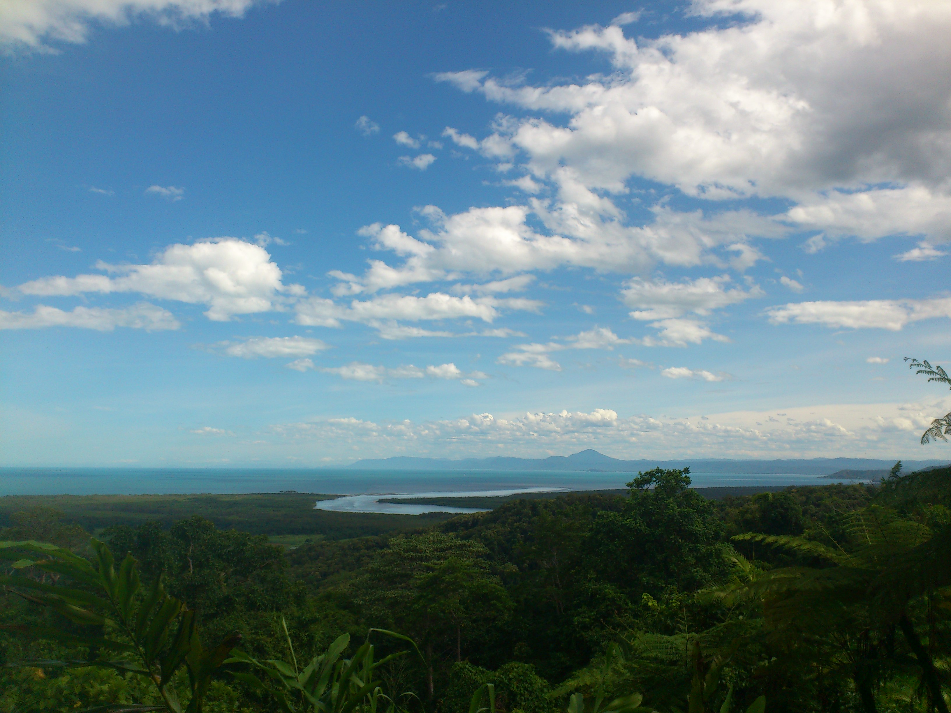 Cairns : un cyclone, une forêt et des poissons Cairns : un cyclone, une forêt et des poissons