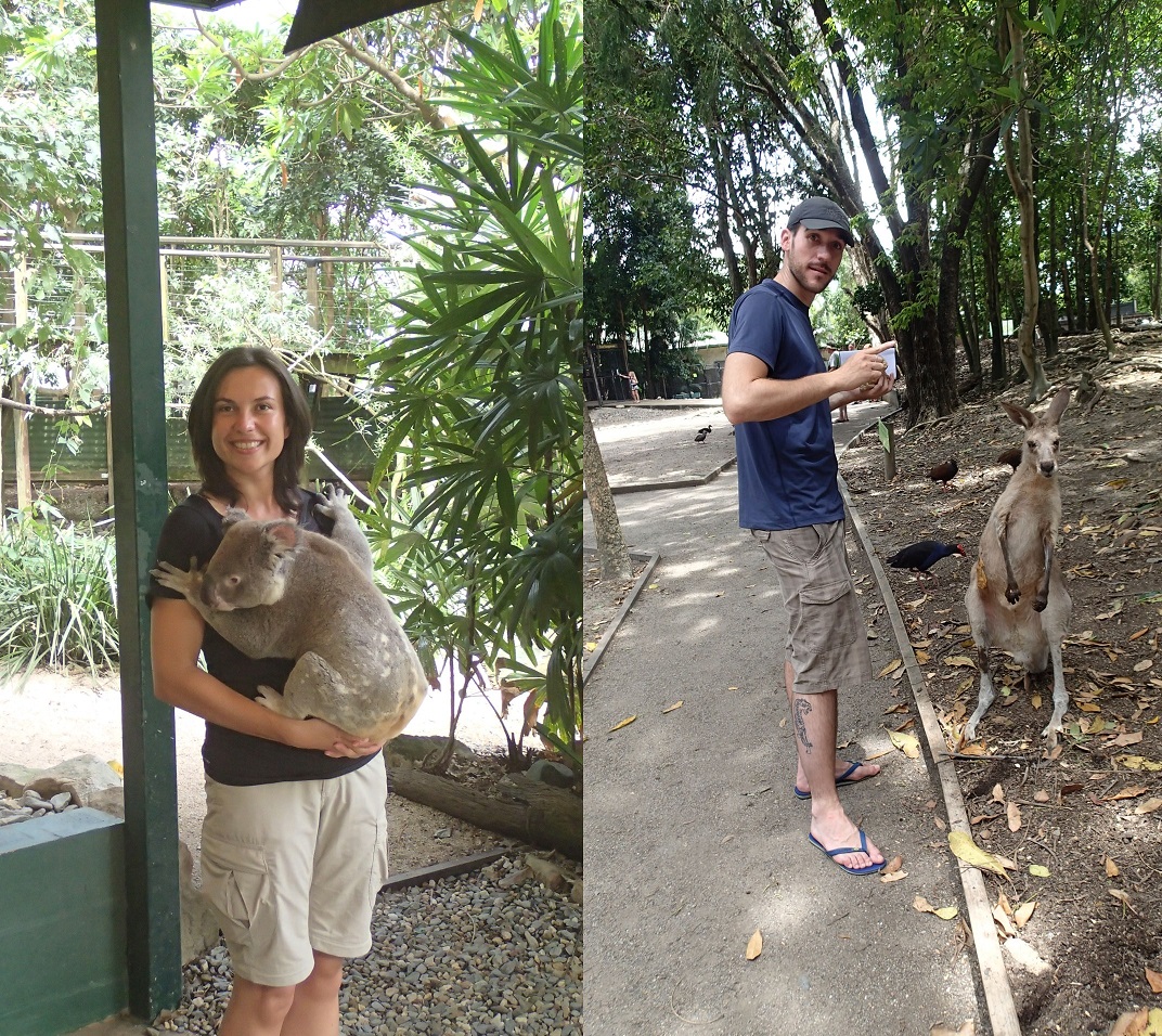 Cairns : un cyclone, une forêt et des poissons Cairns : un cyclone, une forêt et des poissons