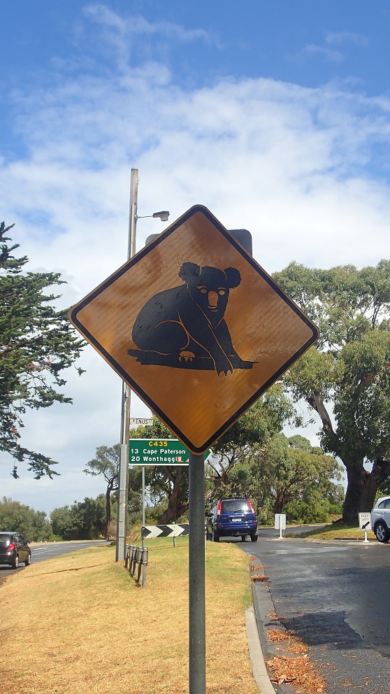 Australie : des animaux sur des panneaux