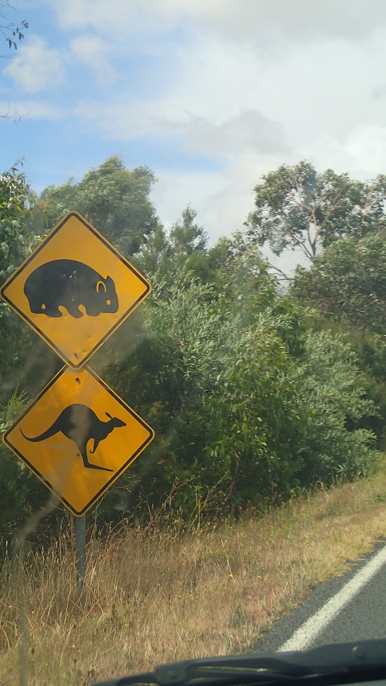 Australie : des animaux sur des panneaux