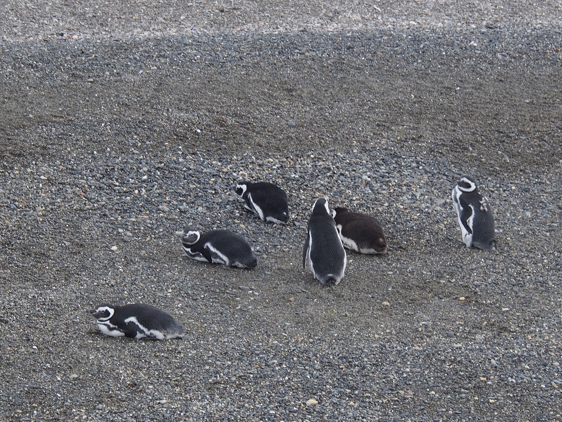 Ushuaia : une fin du monde bien douce Ushuaia : une fin du monde bien douce