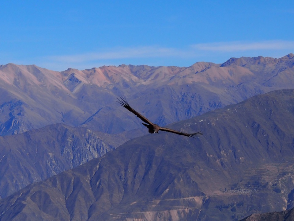 Arequipa, l’autre ville blanche Arequipa, l’autre ville blanche