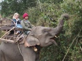 29 - L'éléphant Mé Pin - Pak Beng - Laos