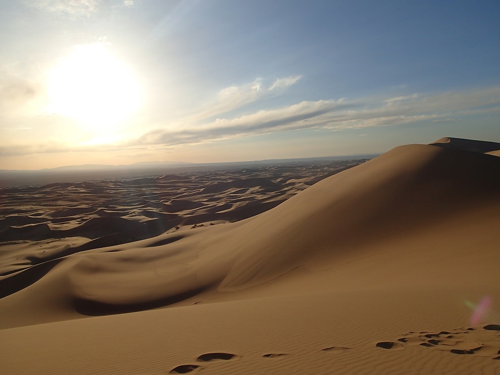 16 - Les dunes de Khongoryn Els