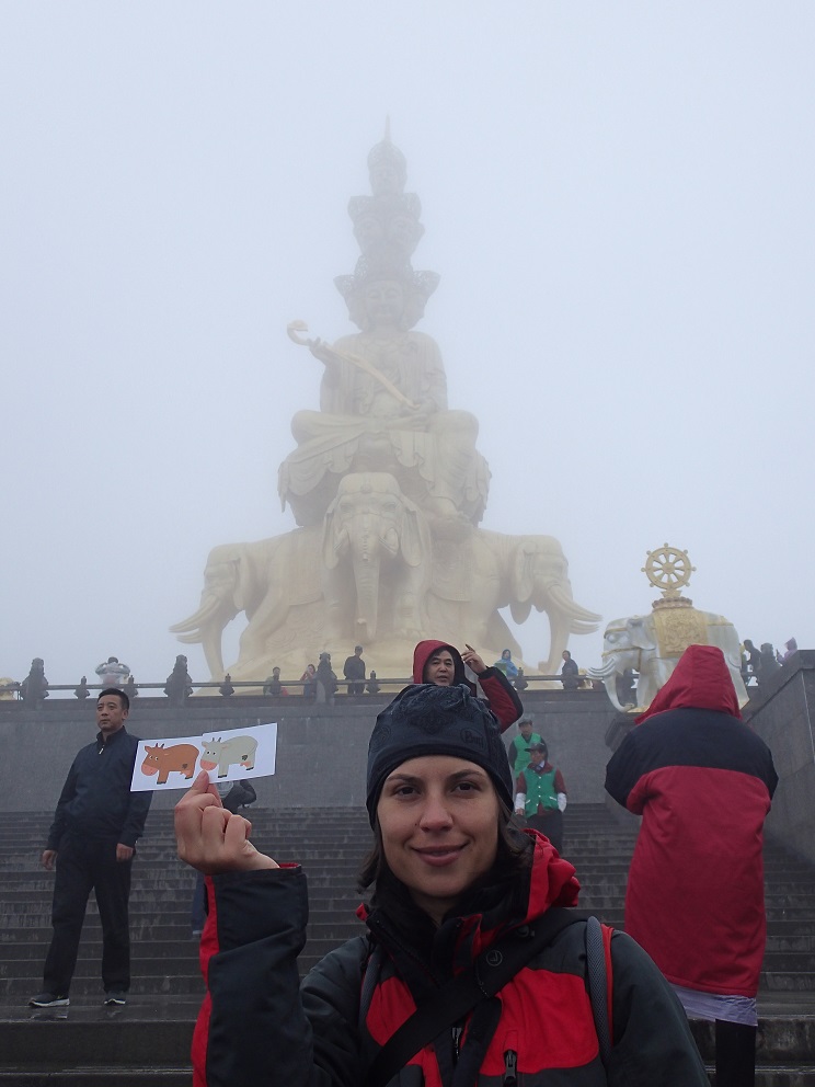 Le sommet doré - Mont Emei - Chine