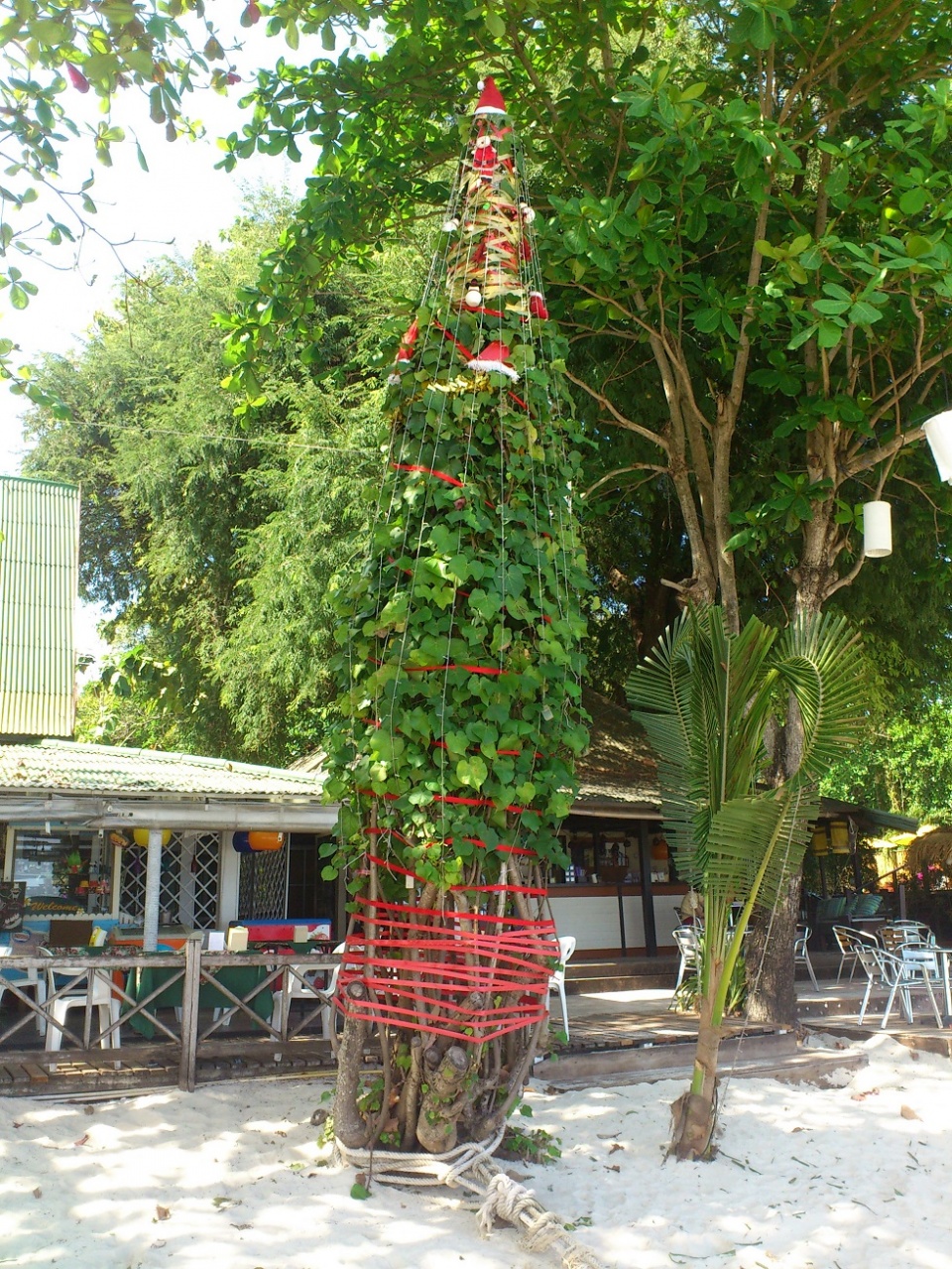 01 - Mon beau sapin - Ko Samed