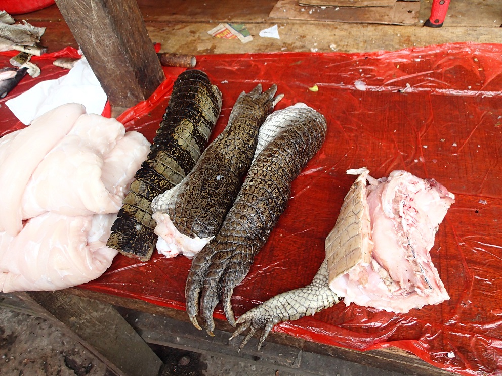 1 - A table ! - Marché d'Iquitos 1 - A table ! - Marché d'Iquitos