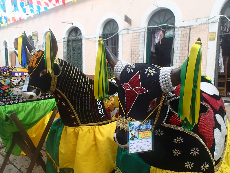 01 - Bumba meu boi - Sao Luis 01 - Bumba meu boi - Sao Luis